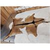 Image 3 : 2 Soft Tanned Goat Skins Taxidermy