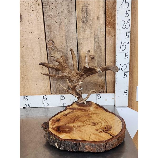Live Edge Wood & Antler Sculpture