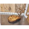 Image 5 : Live Edge Wood & Antler Sculpture