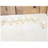 Image 5 : 100 Muskrat Skulls Taxidermy