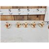 Image 2 : 5 Beaver Skulls Taxidermy