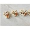 Image 4 : 5 Beaver Skulls Taxidermy