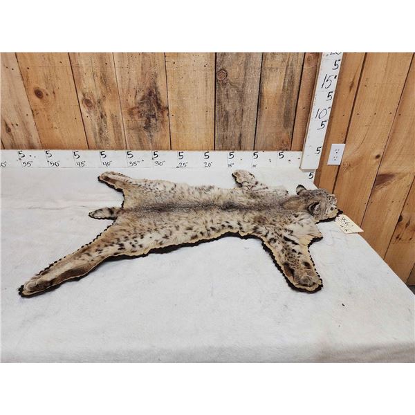 Bobcat Rug Taxidermy