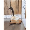 Image 2 : Baltic Chamois Skull Taxidermy