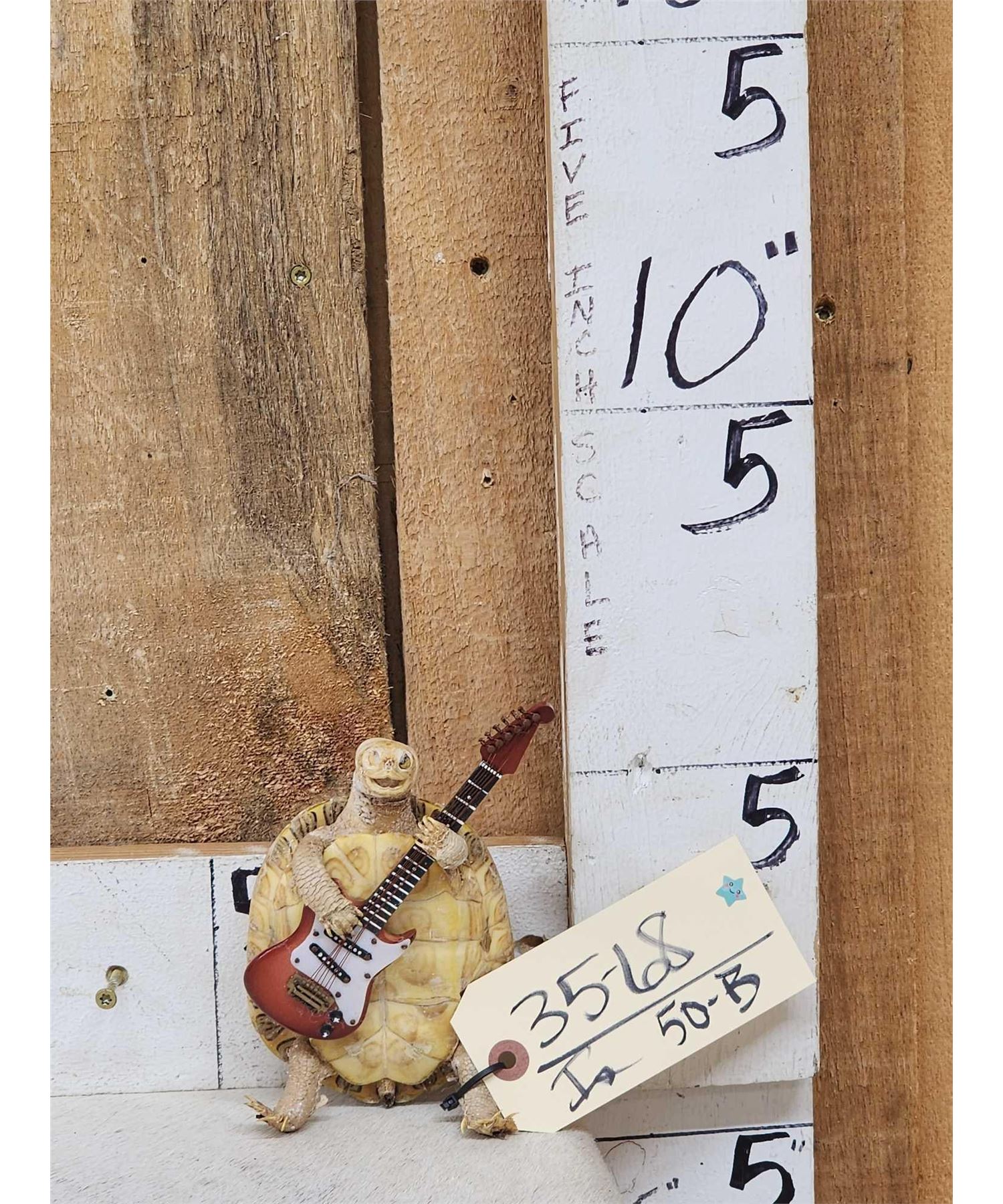 Rock Roll Turtle Playing Guitar Rock Roll Turtle Playing Guitar