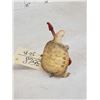 Image 4 : Rock & Roll Turtle Playing Guitar