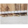 Image 1 : 4 Alligator Heads Taxidermy