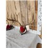 Image 3 : 2 Sets Of Mule Deer Antlers On Plaques