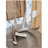 Image 2 : Wild Iowa 5x5 Whitetail Shed Antlers