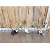 Image 1 : 3 Sets Of Whitetail Antlers