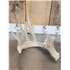Image 4 : Main Frame 5x5 Whitetail Shed Antlers