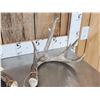 Image 2 : 4x4 Whitetail Shed Antlers