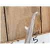 Image 3 : 4x4 Whitetail Shed Antlers