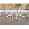 Image 3 : 3 Sets Of Whitetail Shed Antlers