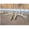 Image 5 : 3 Sets Of Whitetail Shed Antlers