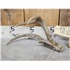 Image 3 : 2 Double Main Beam Whitetail Shed Antlers