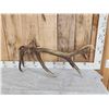 Image 3 : 6.4 Lbs Red Stag Shed Antler