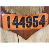 Image 7 : Vintage Wisconsin 4x4 Whitetail Shoulder Mount Taxidermy