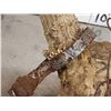 Image 4 : Vintage Double Main Beam Mule Deer Antlers On Skull Plate