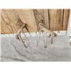 Image 5 : Main Frame 5x5 Canadian Whitetail Shed Antlers