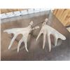 Image 5 : Heavy Mass 6x5 Whitetail Shed Antlers