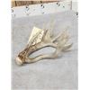 Image 5 : Cool Double Main Beam Whitetail Shed Antler
