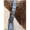 Image 8 : VINTAGE 5x5 Mule Deer Shoulder Mount Taxidermy