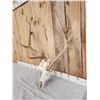 Image 3 : Freak Nontypical Elk Antlers On Skull