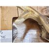 Image 4 : 6x6 Elk Antlers On Plaque