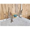 Image 3 : 39" Wide Moose Antlers On Plaque