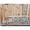 Image 1 : 18.5 Lbs Of Whitetail Shed Antlers