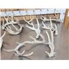 Image 2 : 18.5 Lbs Of Whitetail Shed Antlers