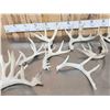Image 4 : 18.5 Lbs Of Whitetail Shed Antlers