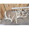 Image 5 : 18.5 Lbs Of Whitetail Shed Antlers