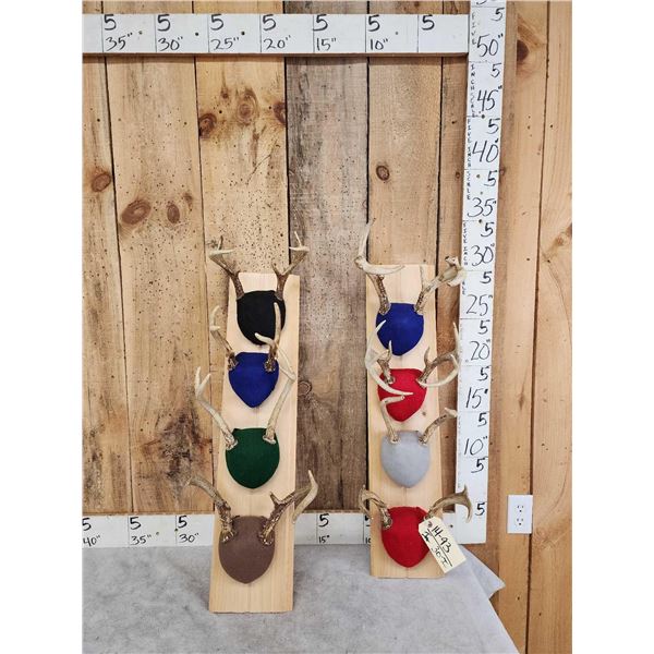 8 Sets Of Whitetail Antlers On Plaques