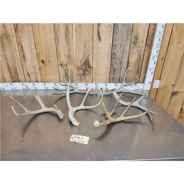 8.8 Lbs Of Mule Deer Antlers