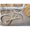 Image 2 : 8.8 Lbs Of Mule Deer Antlers