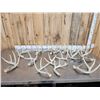 Image 1 : 17.1 Lbs Of Whitetail Shed Antlers