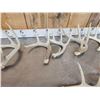 Image 5 : 17.1 Lbs Of Whitetail Shed Antlers