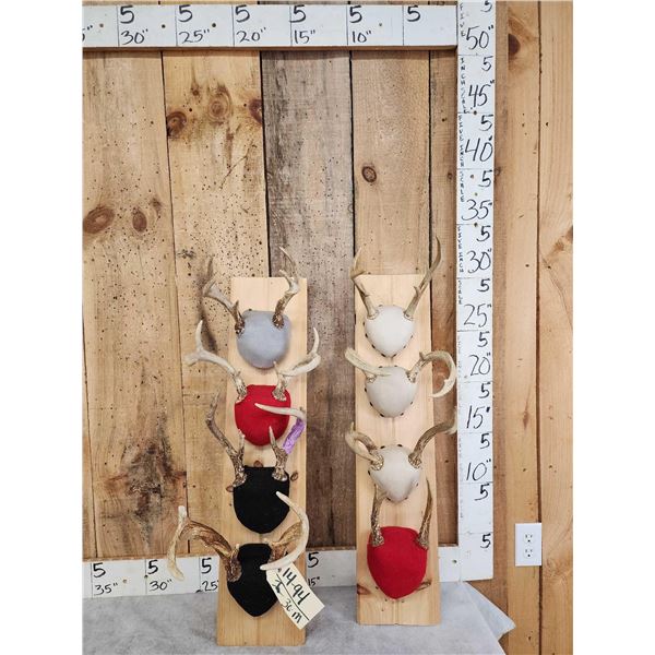8 Sets Of Whitetail Antlers On Plaques
