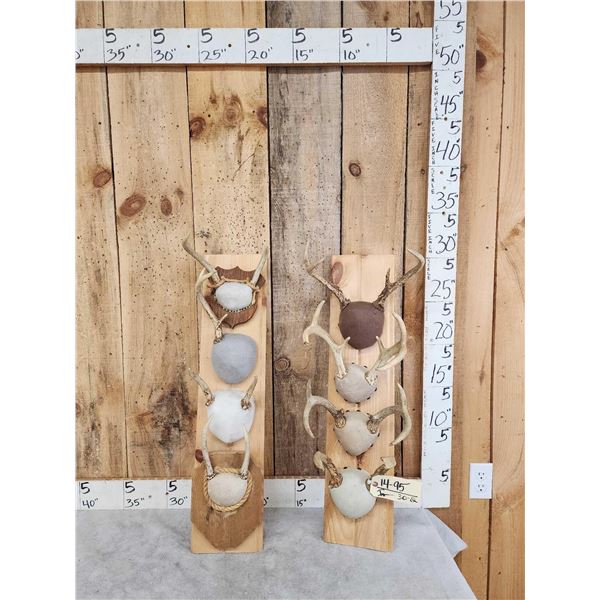 8 Sets Of Whitetail Antlers On Plaques