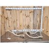 Image 1 : 21.7 Lbs Of Elk Shed Antlers