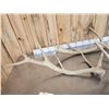 Image 5 : 21.7 Lbs Of Elk Shed Antlers