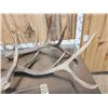 Image 4 : 25.9 Lbs Of Elk Shed Antlers