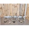 Image 1 : 7 Sets Of Whitetail Antlers On Skull Plate