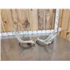 Image 4 : Main Frame 6x6 Whitetail Shed Antlers