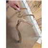 Image 5 : Set Of Freak Elk Shed Antlers