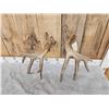 Image 11 : Awesome Set Of Main Frame 5x5 Canadian Whitetail Shed Antlers