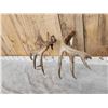 Image 12 : Awesome Set Of Main Frame 5x5 Canadian Whitetail Shed Antlers