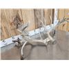 Image 3 : Crazy Nontypical Whitetail Shed Antlers